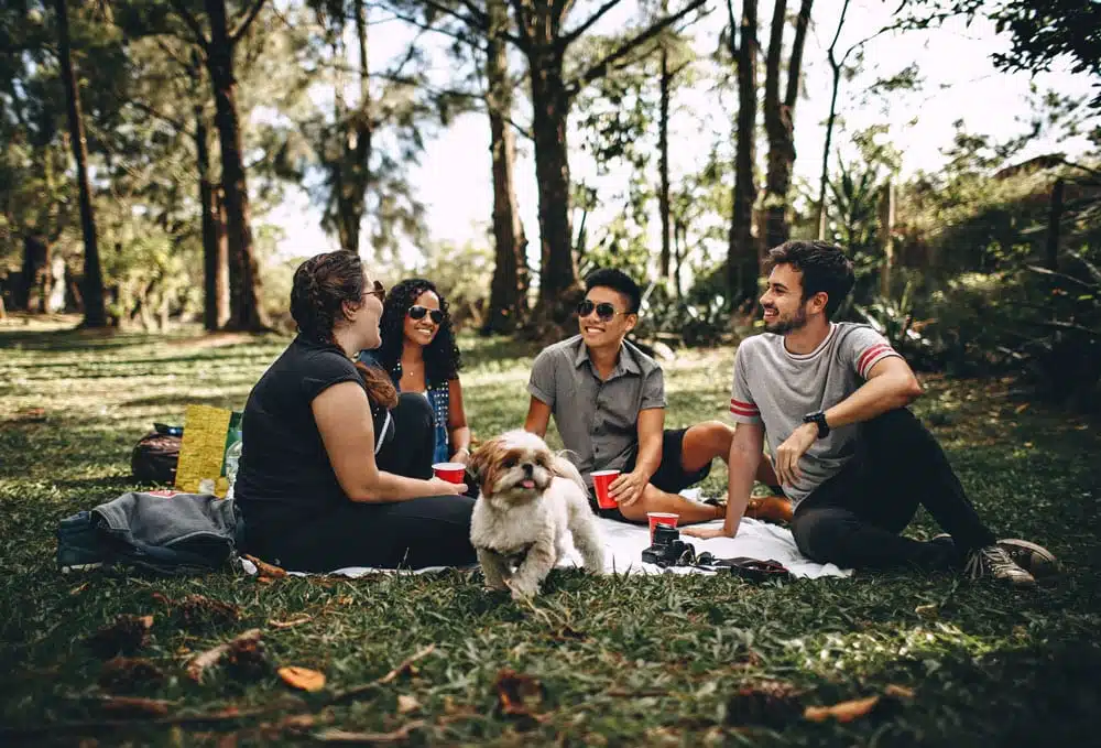habitos de la felicidad - BLOG UNIBE