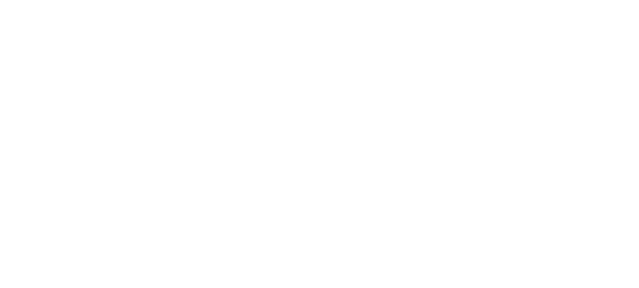 El Nuevo Diario